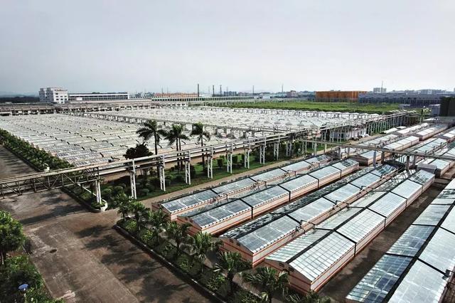 佛山转型：升级中国制造地标
