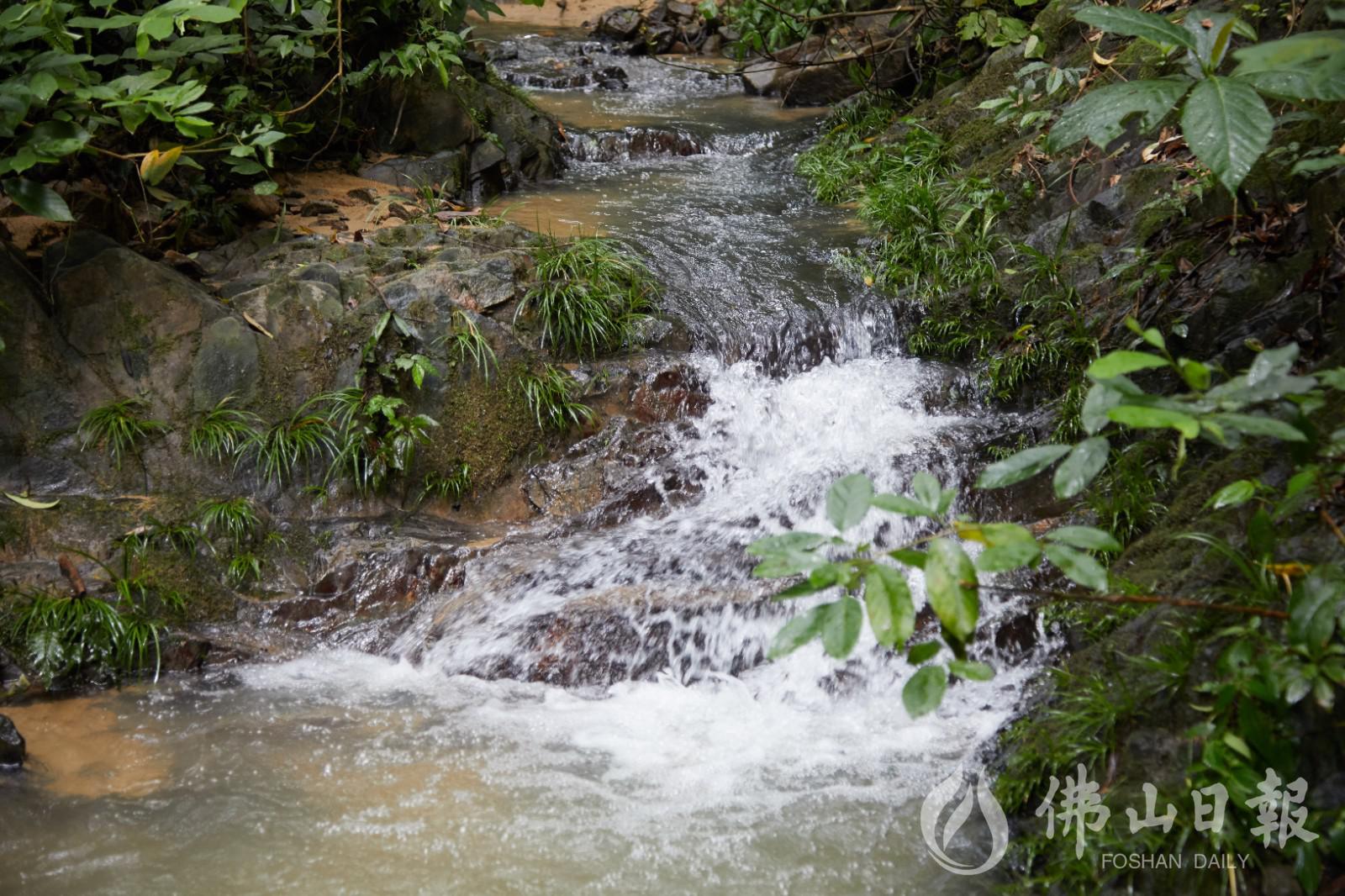 demo.jpg demo.jpg