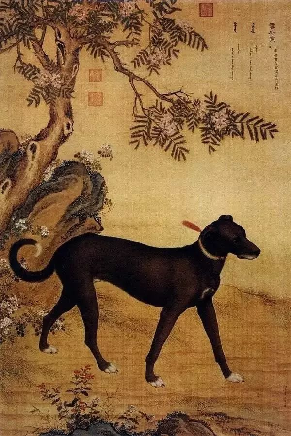 狗年说狗｜历代名家画狗PK 哪一只你最爱？