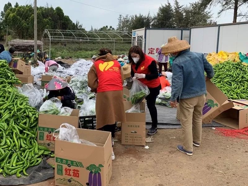 党员志愿者与贫困户一起打包.jpg