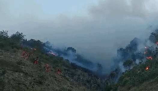 demo.jpg demo.jpg
