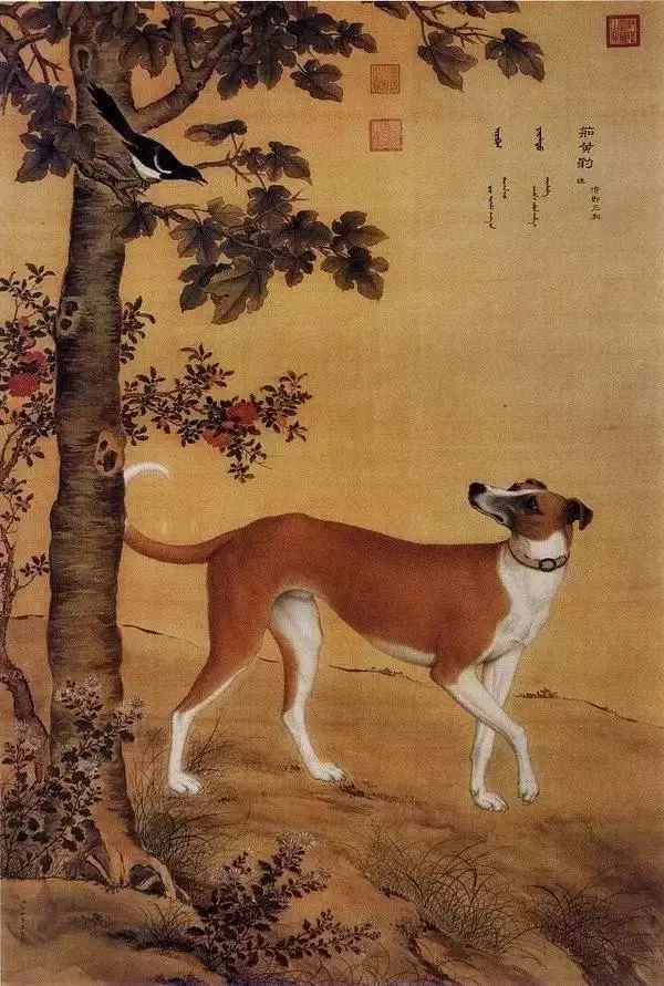 狗年说狗｜历代名家画狗PK 哪一只你最爱？