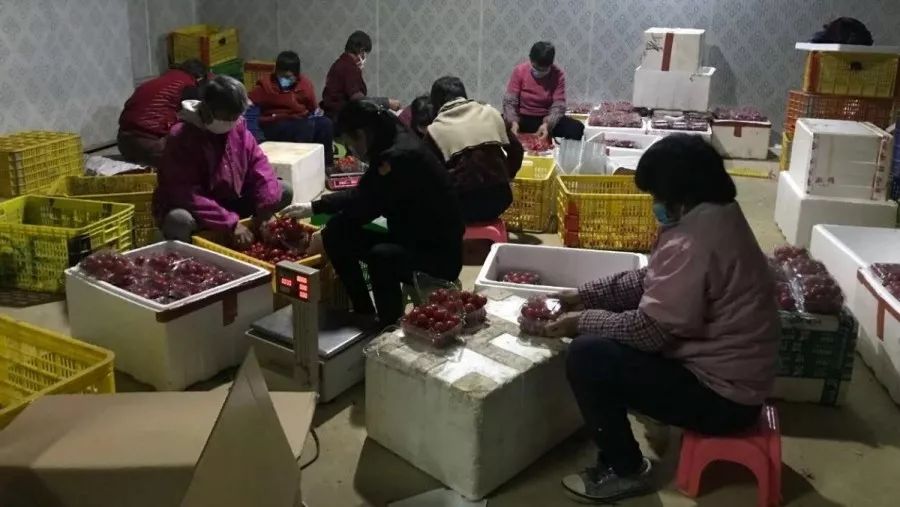 微信图片_20200221151649.jpg