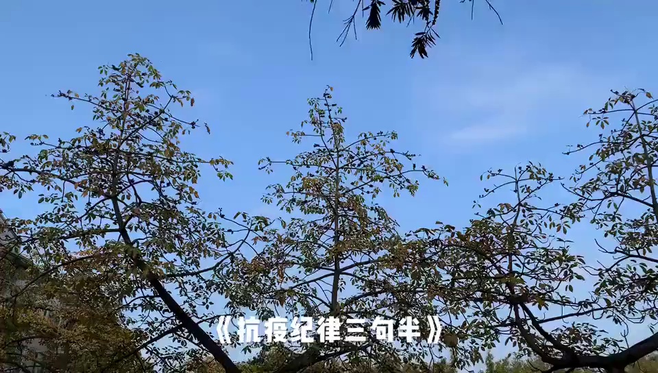 三水女警自编自演“三句半”,打快板说战疫!
