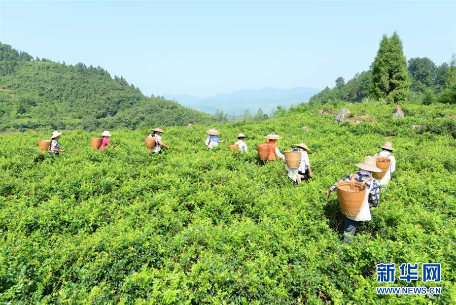(在习近平新时代中国特色社会主义思想指引下——新时代新作为新篇章·总书记关切脱贫事·决胜贫困·图文互动)(8)易地扶贫搬迁:助力“跨越式”奔小康