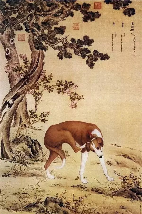 狗年说狗｜历代名家画狗PK 哪一只你最爱？