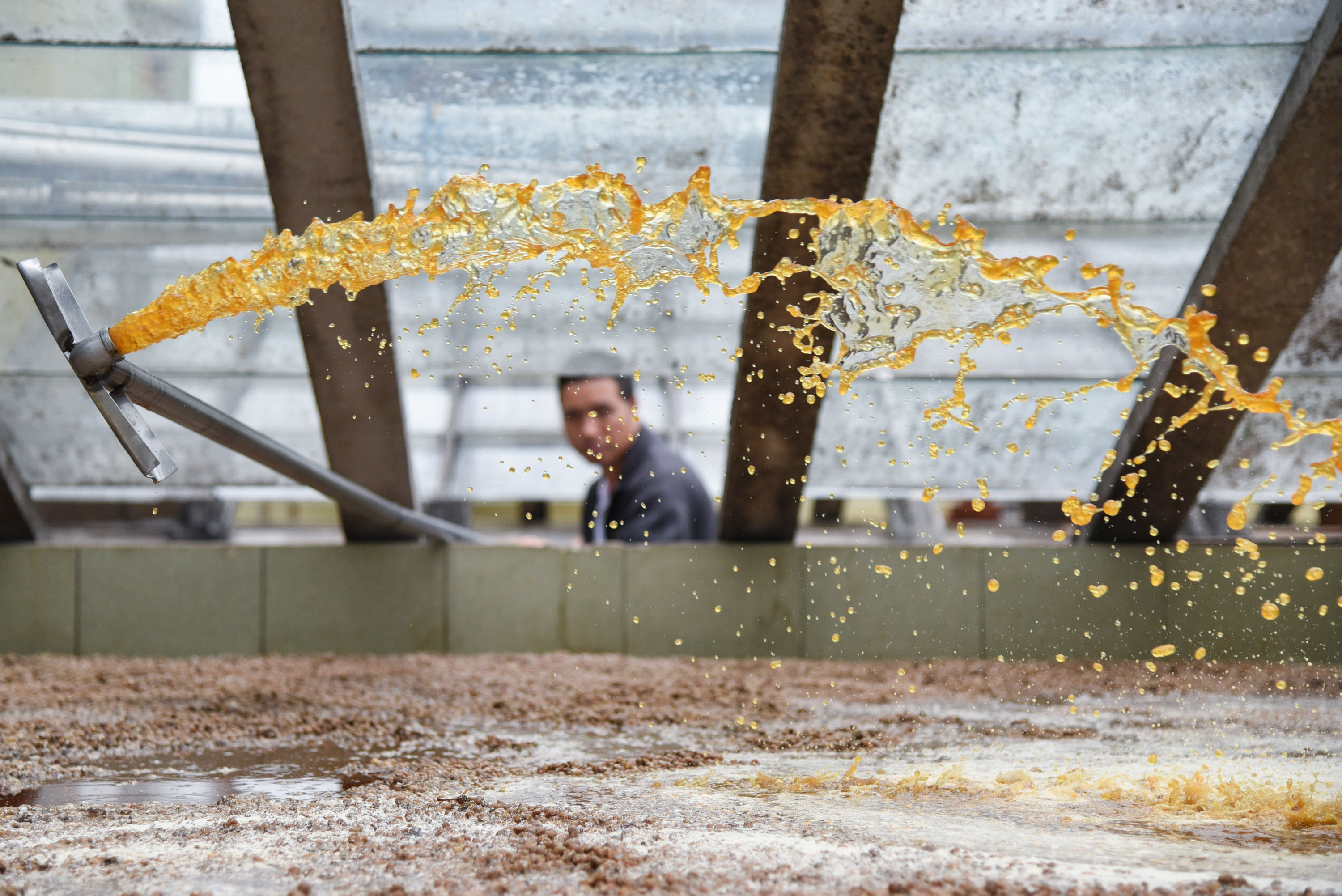 demo.jpg