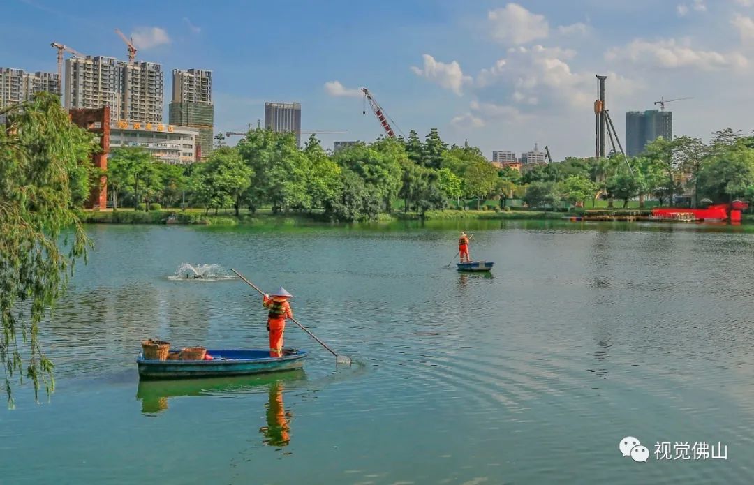 清理湖面。2020年6月23日,佛山市禅城区亚艺公园,环卫工人们冒着暑热,正在作业。佛山日报摄影俱乐部 成欲晓摄.jpg