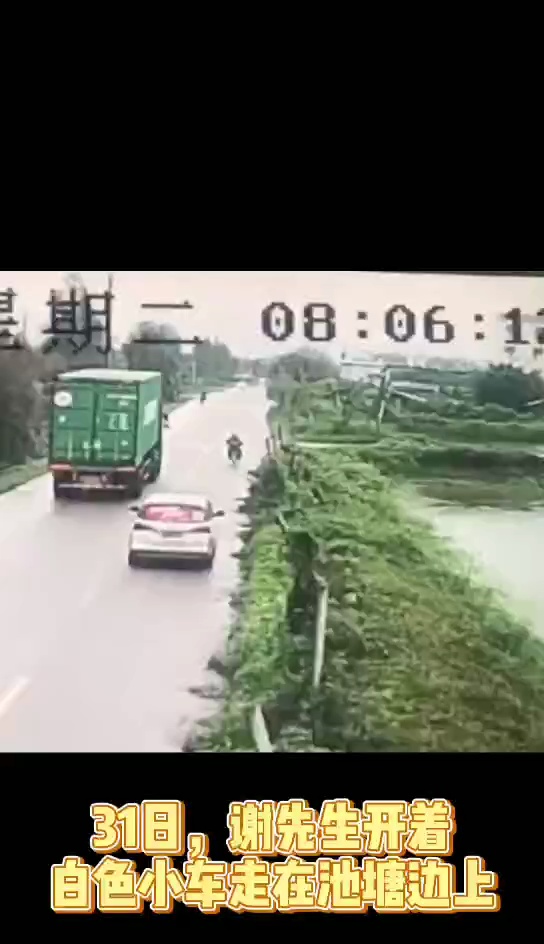 3月31日,谢先生驾驶白色小车在勒流镇某一道路上,突然遇到货车转弯,躲避过头栽进池塘里。佛山日报记者唐格桢制作。
