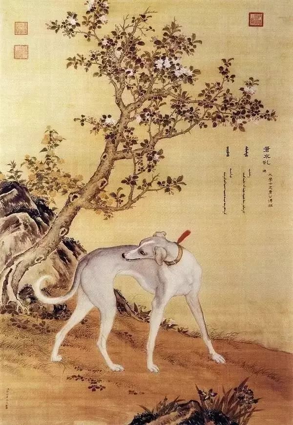 狗年说狗｜历代名家画狗PK 哪一只你最爱？