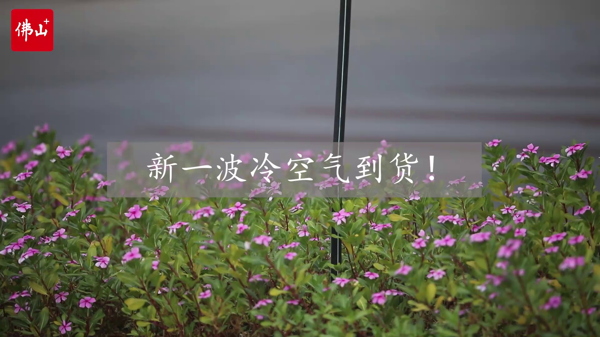 新一波冷空气到货！
