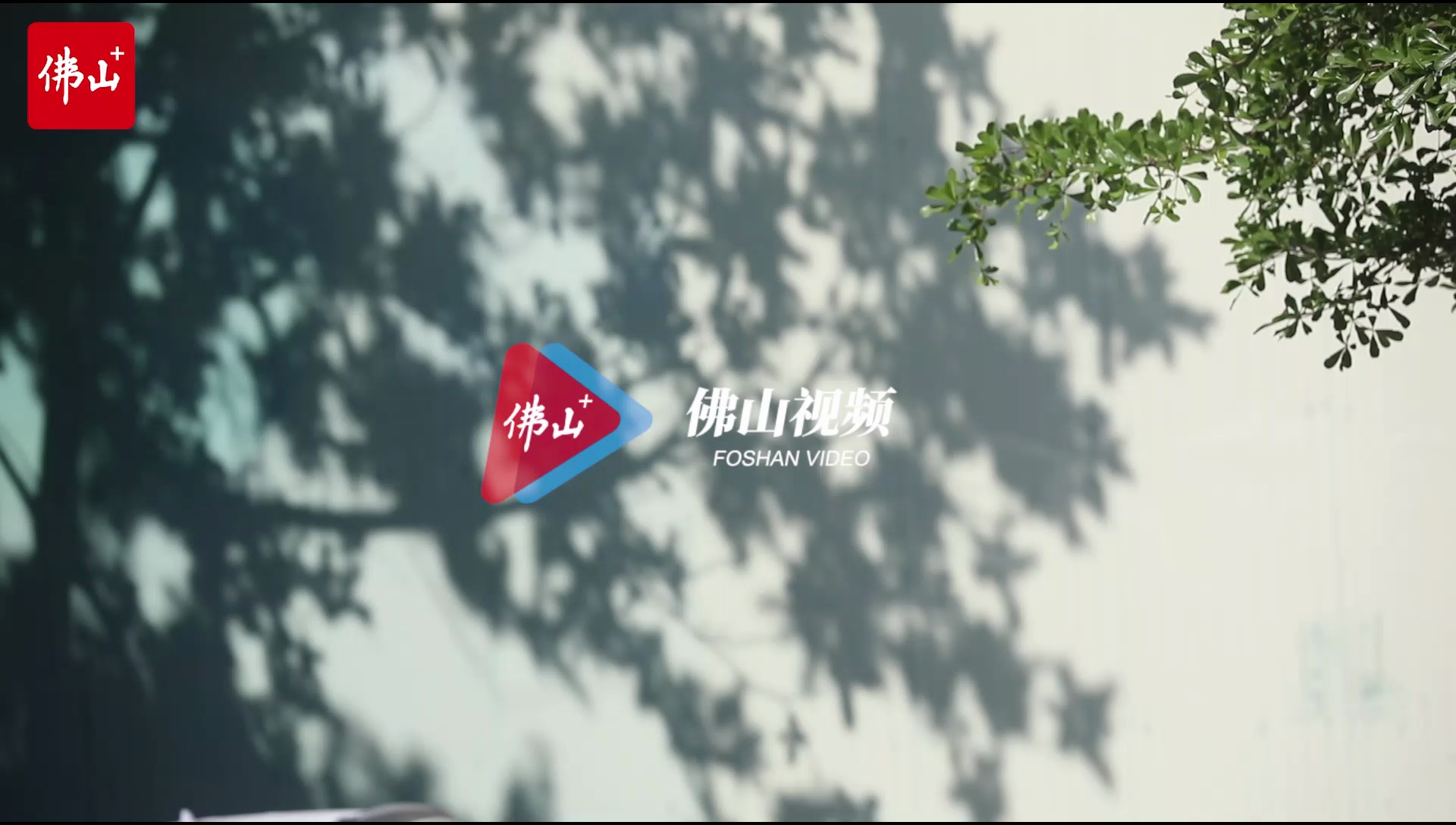佛山春光无限好。