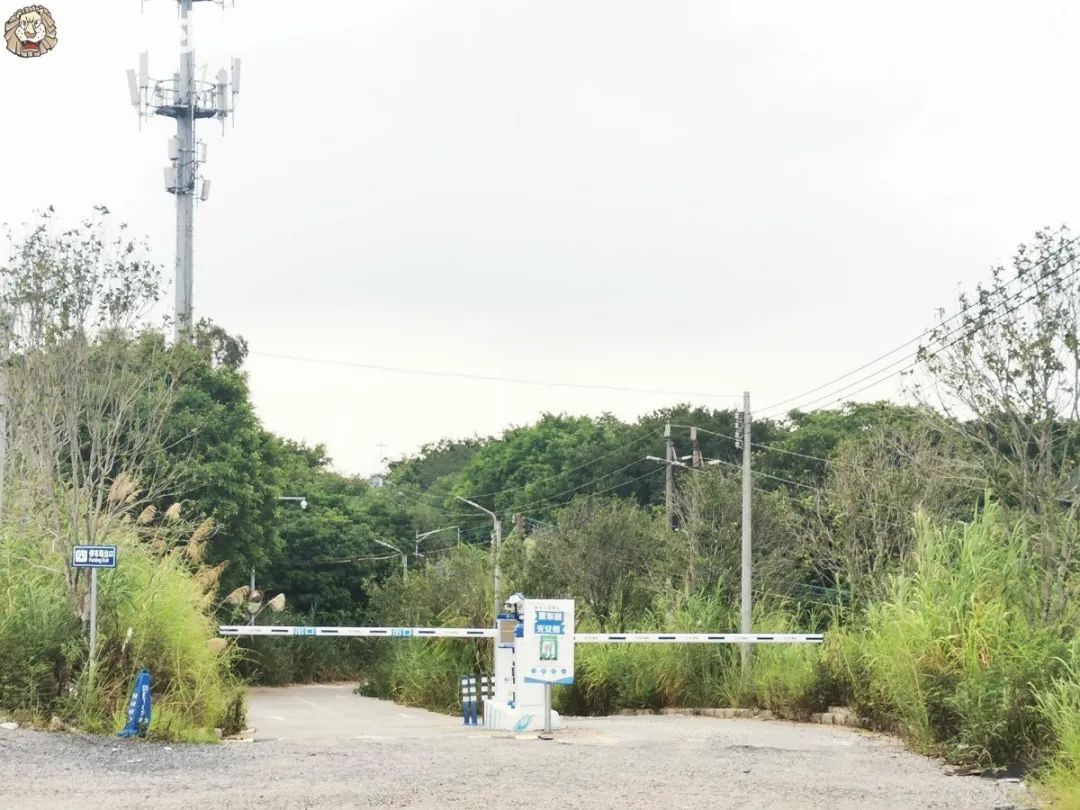 高增山顶停车费入口.jpg