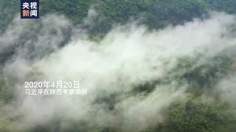 一路走来,始终关切,秦岭深处感受总书记人民情怀