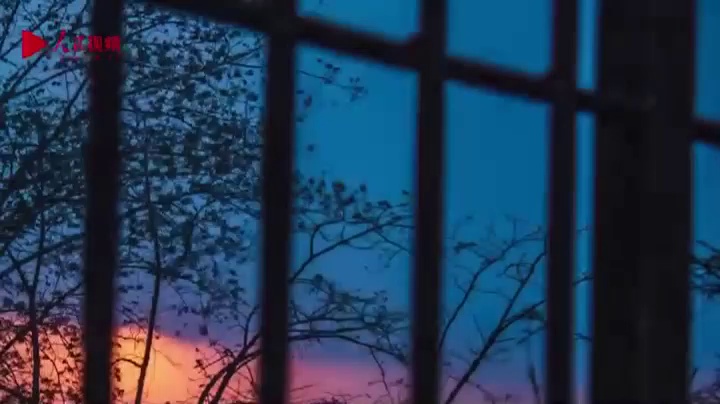 《澳门记忆2015》