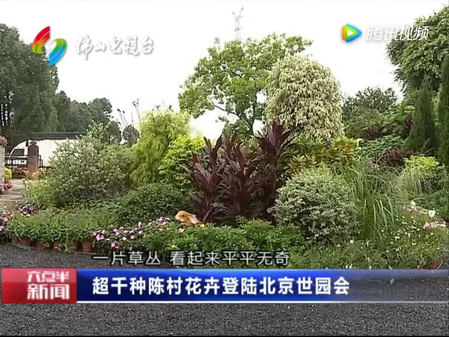 超千种绿色“佛山制造”扮靓北京世园会 戳这看→