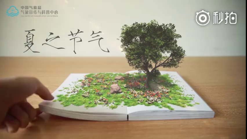 立夏节气科普小短片