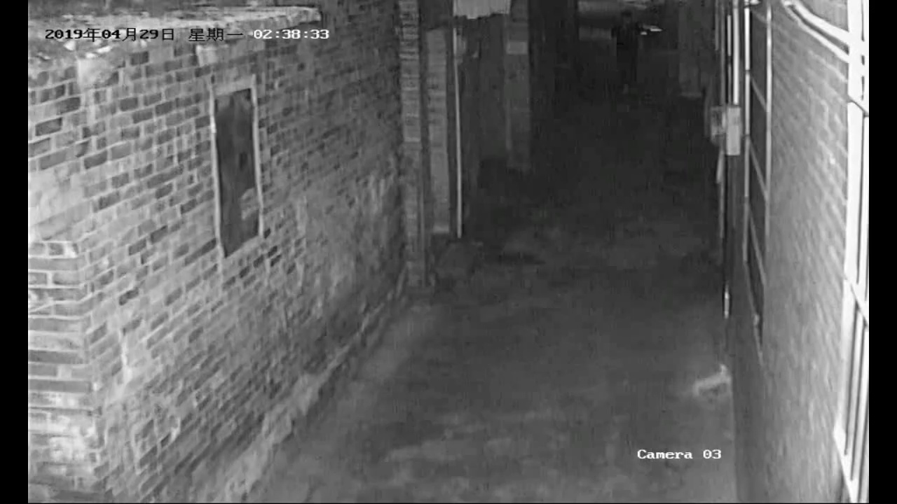 一男子多次入室偷盗被民警抓获。/南海公安提供