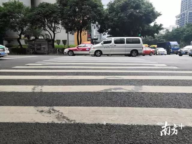 事发现场所在斑马线。