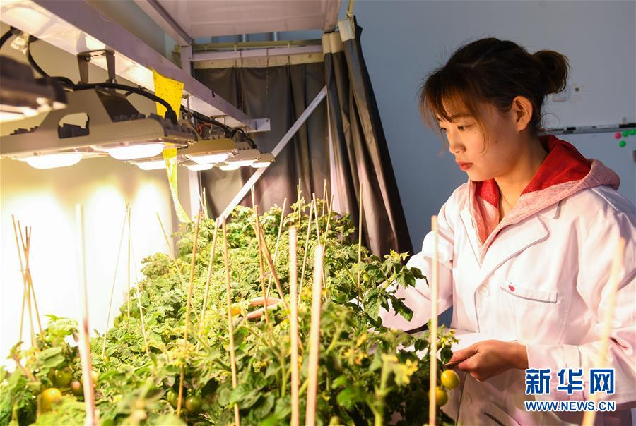 (图文互动)(3)柳暗花明又一村——“今日之中国”系列述评之三