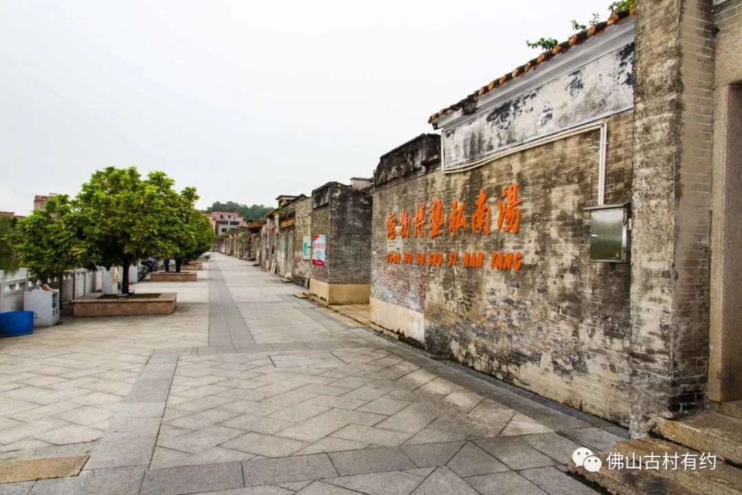 汤南 (1).jpg