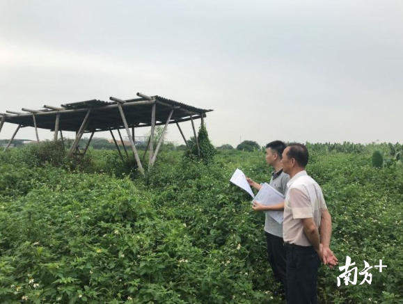李焕聪（左）在巡察。