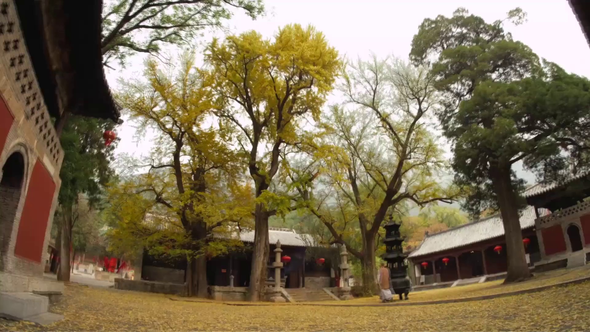 《山东24小时》