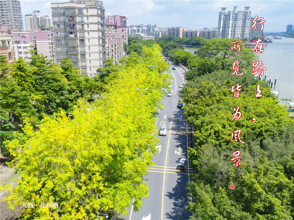 08fea5c636d34b1bbd5083f10131ab55.jpg