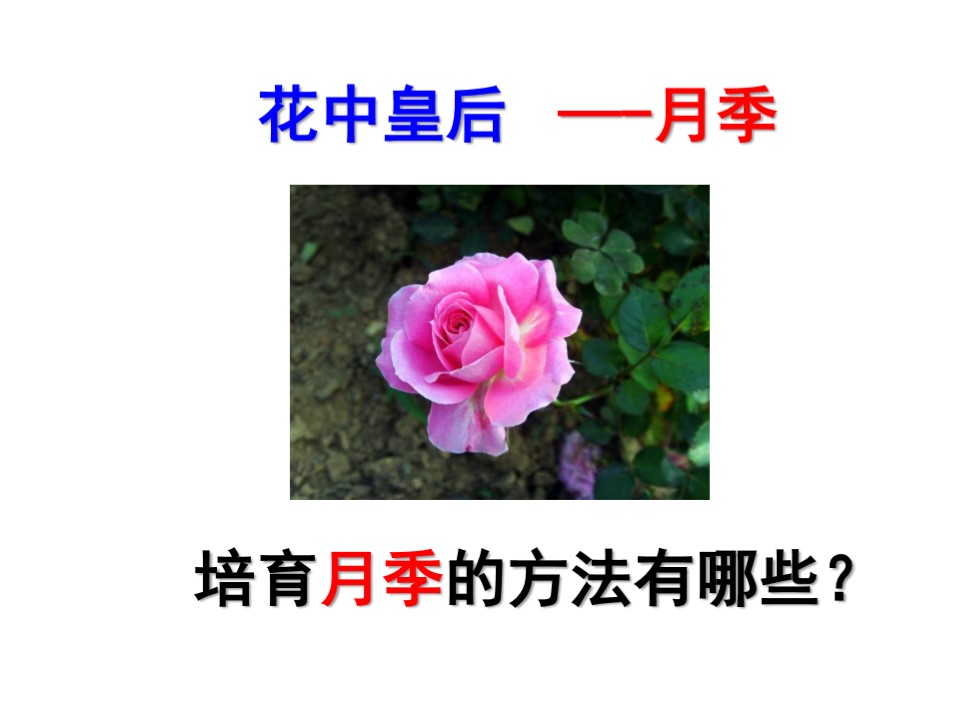 0ce35d835d0c47df8eaa1171f158da0d.JPG