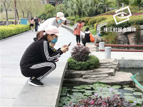 0dda7af5f8ae456c8088b56375f36fbf.jpg
