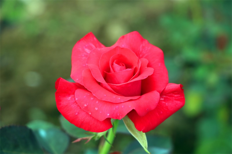 15004bf7c155412fab1368a0ada73a99.jpg