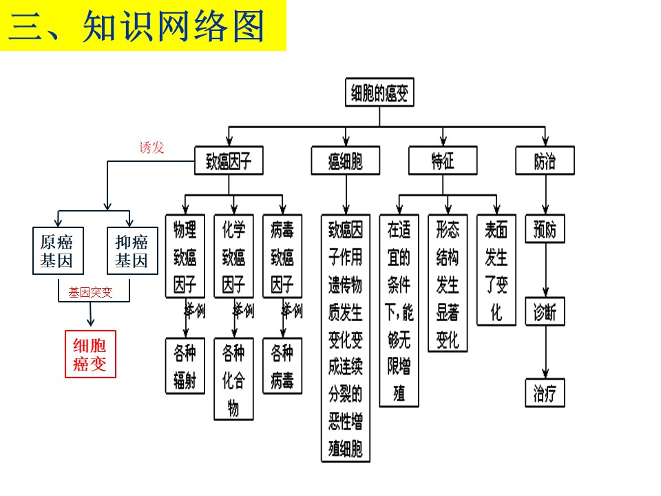 16acc7db5ca34fd99def367dbeaceba5.JPG