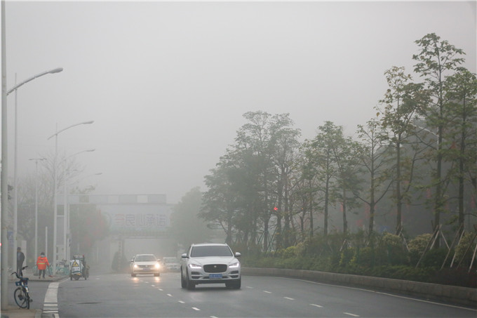 三水区西青大道,路上的汽车开启了雾灯。 佛山日报记者 陈浩森摄