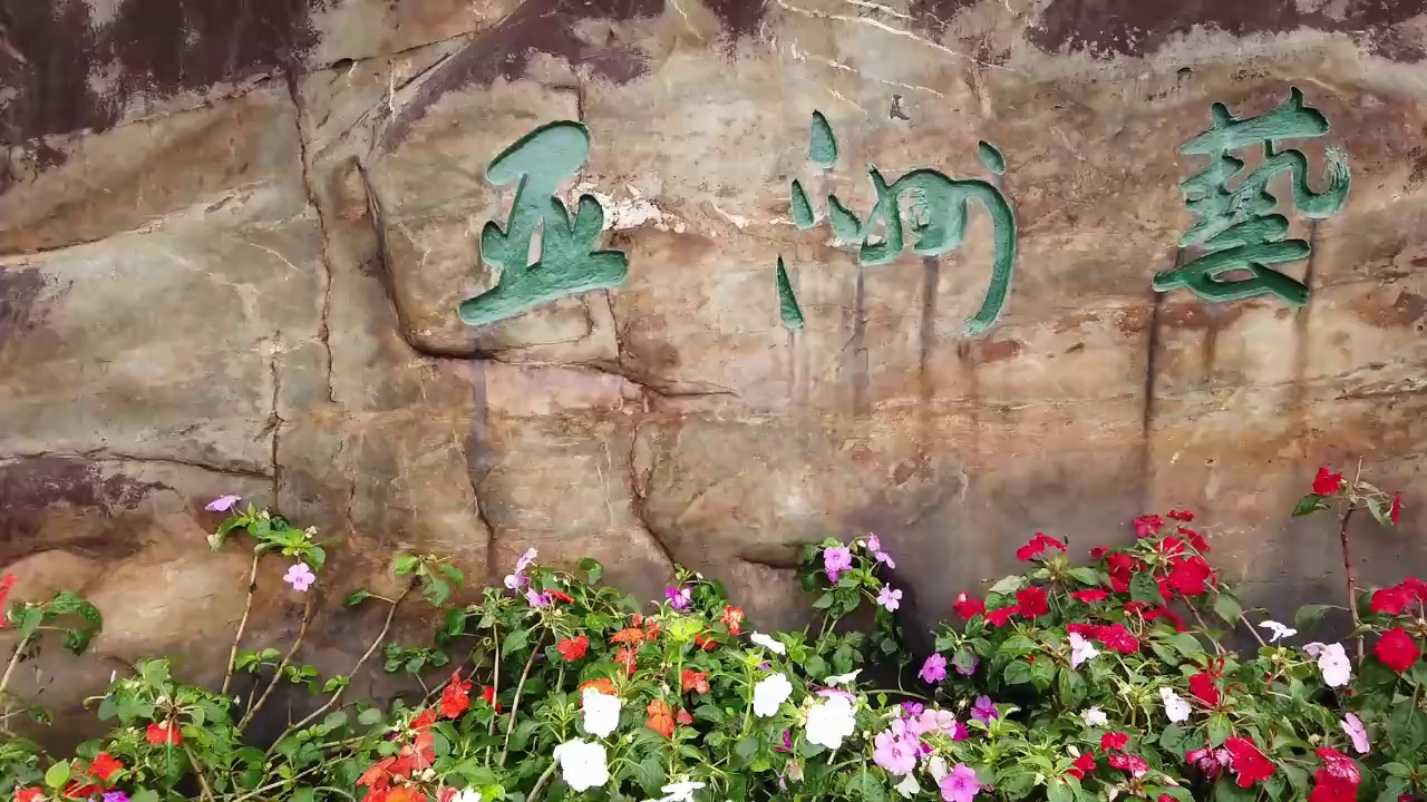 亚艺红棉开——2019“开片”佛山短视频大赛