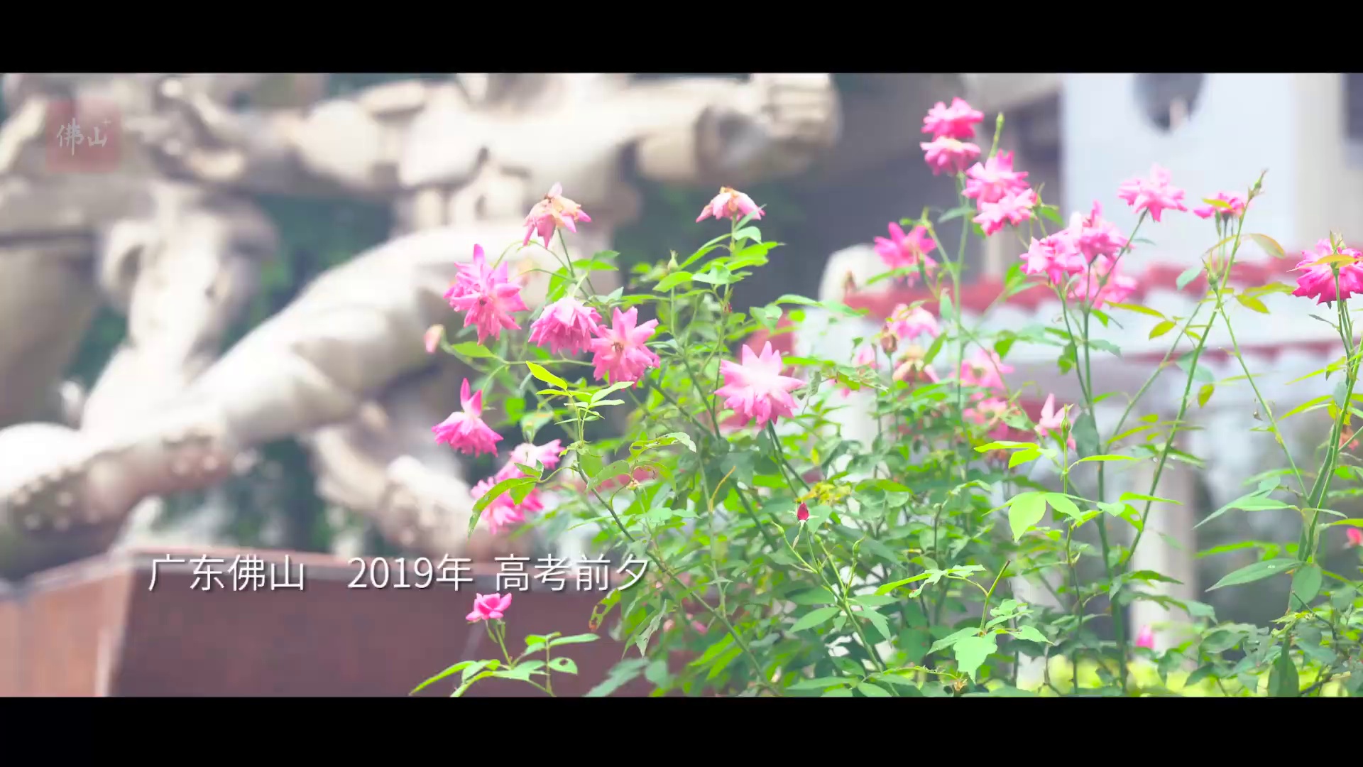 佛山高三学子燃情快闪 ——《歌唱祖国》
