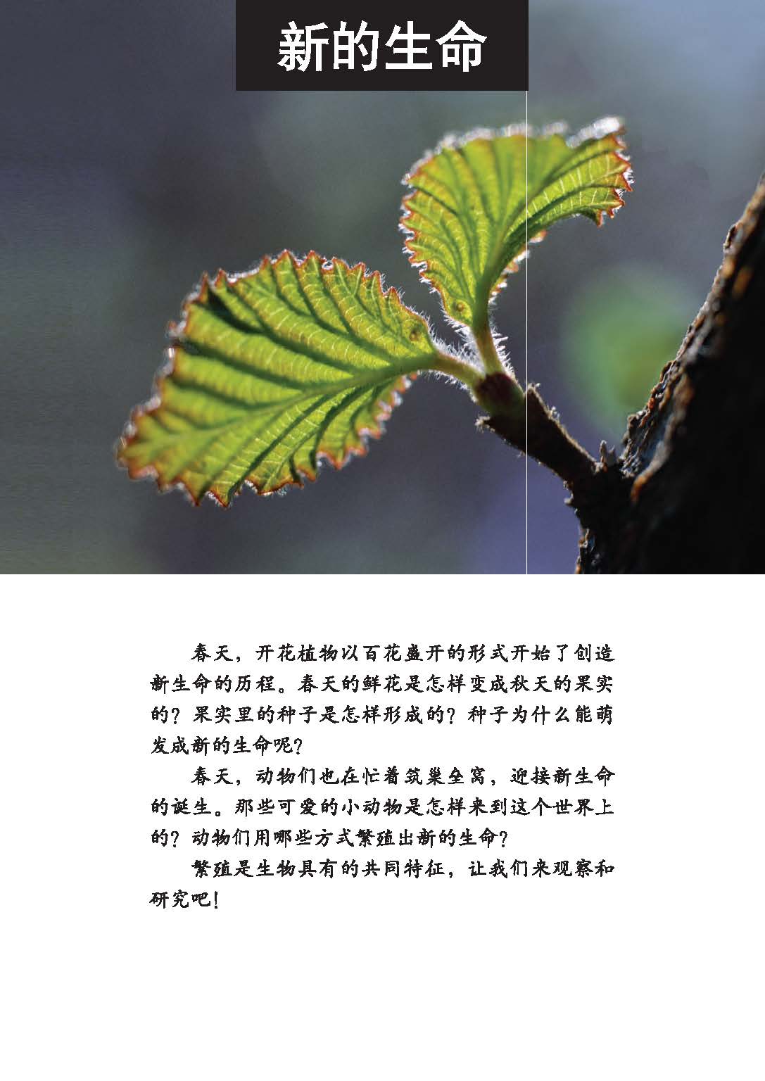 25418be48cd346869d5f70406a601a38.jpg