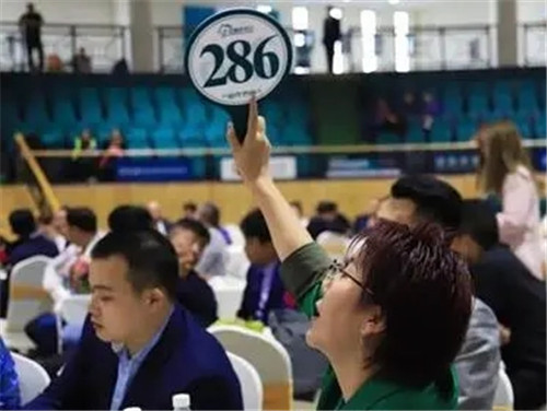 25adb373a6c9463db9a6dd0d2e25635b.jpg