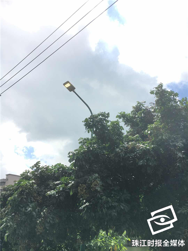 2b21c3e6d8fe4a25b7d11eb7bf98bcd1.png