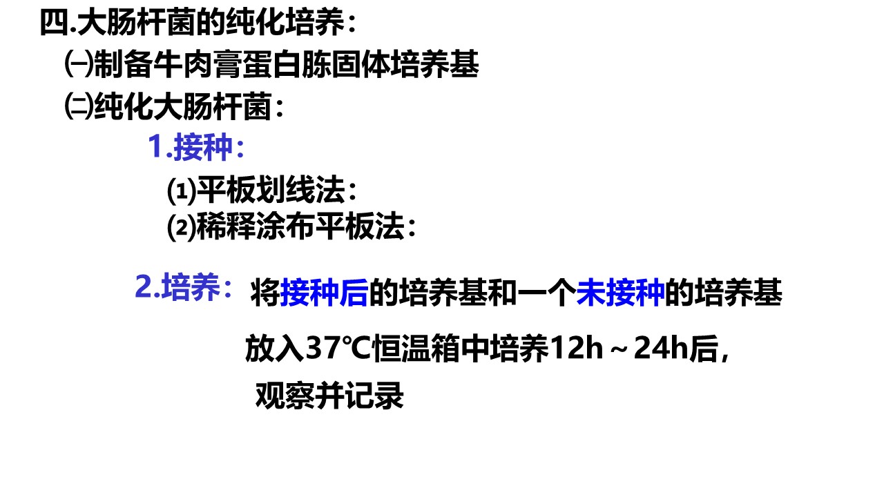 2baa6a057f624fb4871af27bb2f92050.JPG