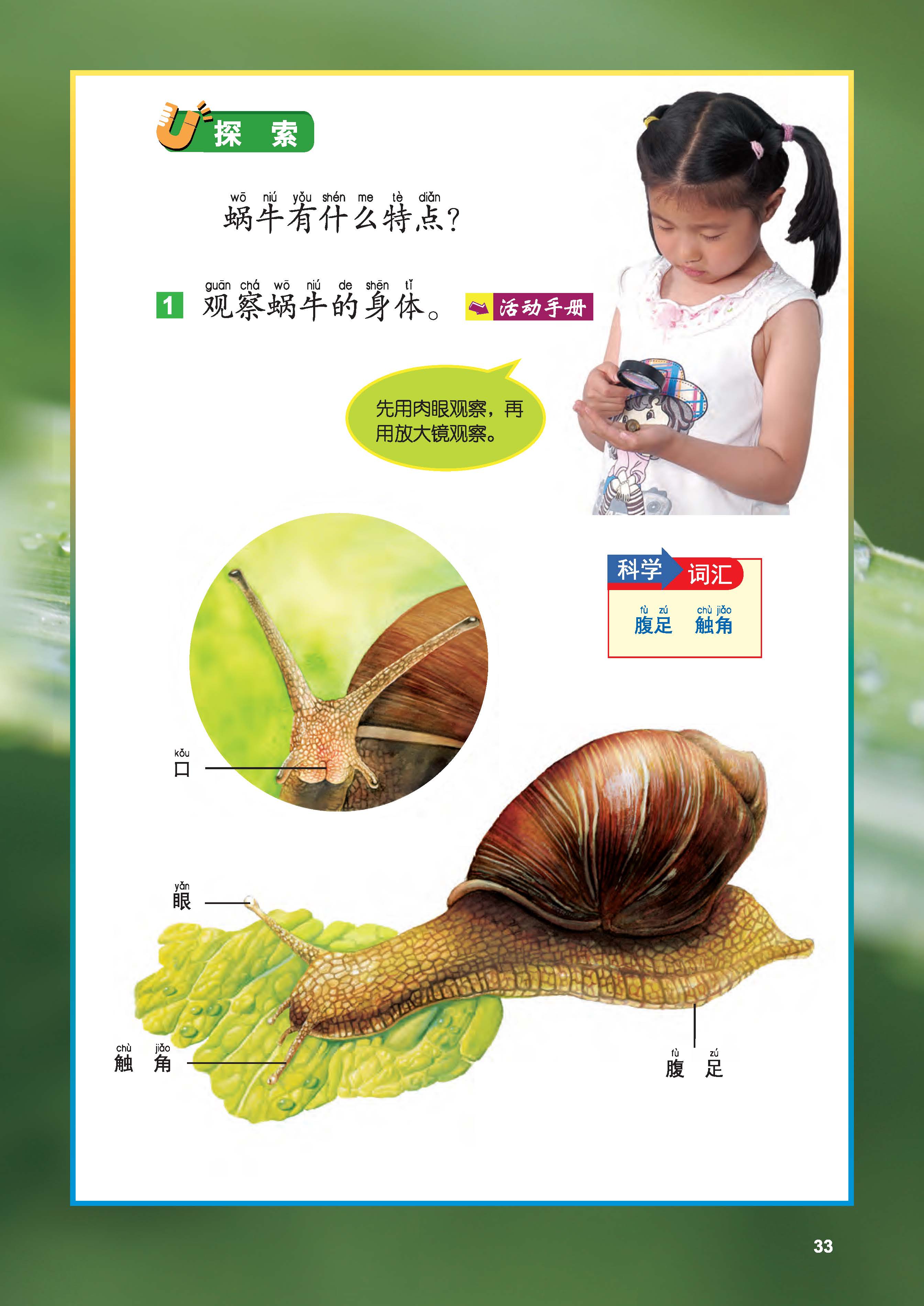 2e2ebb2c8461467aace5d3420da9363e.jpg