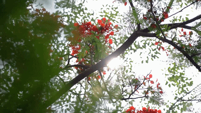 359a2e4048f249e68221163f79eb5df7.gif