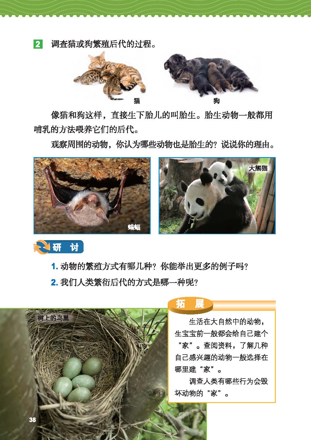 37adcb9f16224c53b4889d3b06ebf459.jpg