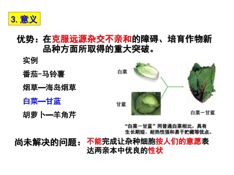 3cfe313bbfff4db3a454f96bb2d83efc.JPG