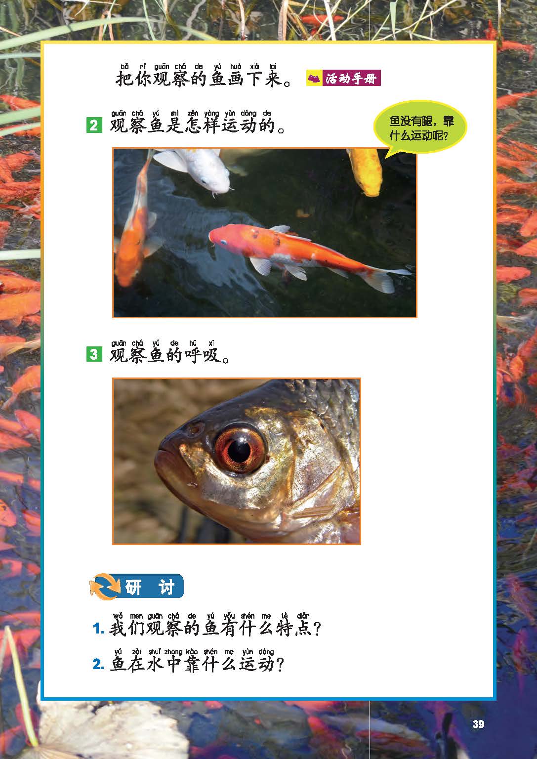 3d780782bc7040639f3b7e41b277e984.jpg