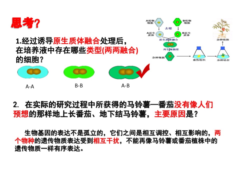 3e008231d0654fa0b97fc7ac59f6a486.JPG