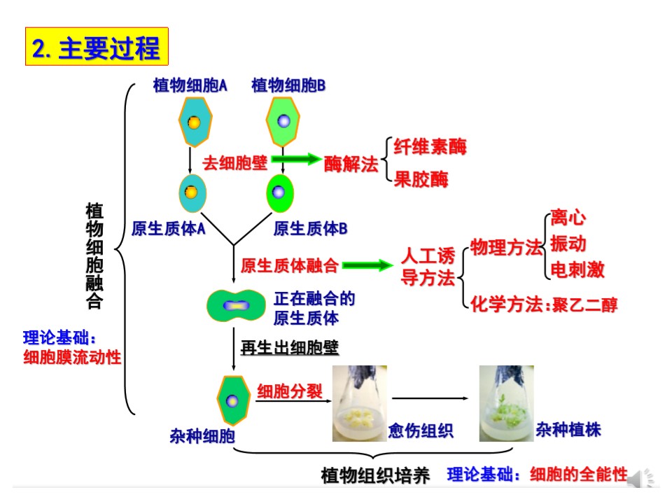 4c9fa6ada679416ebcf62df2608d1fca.JPG