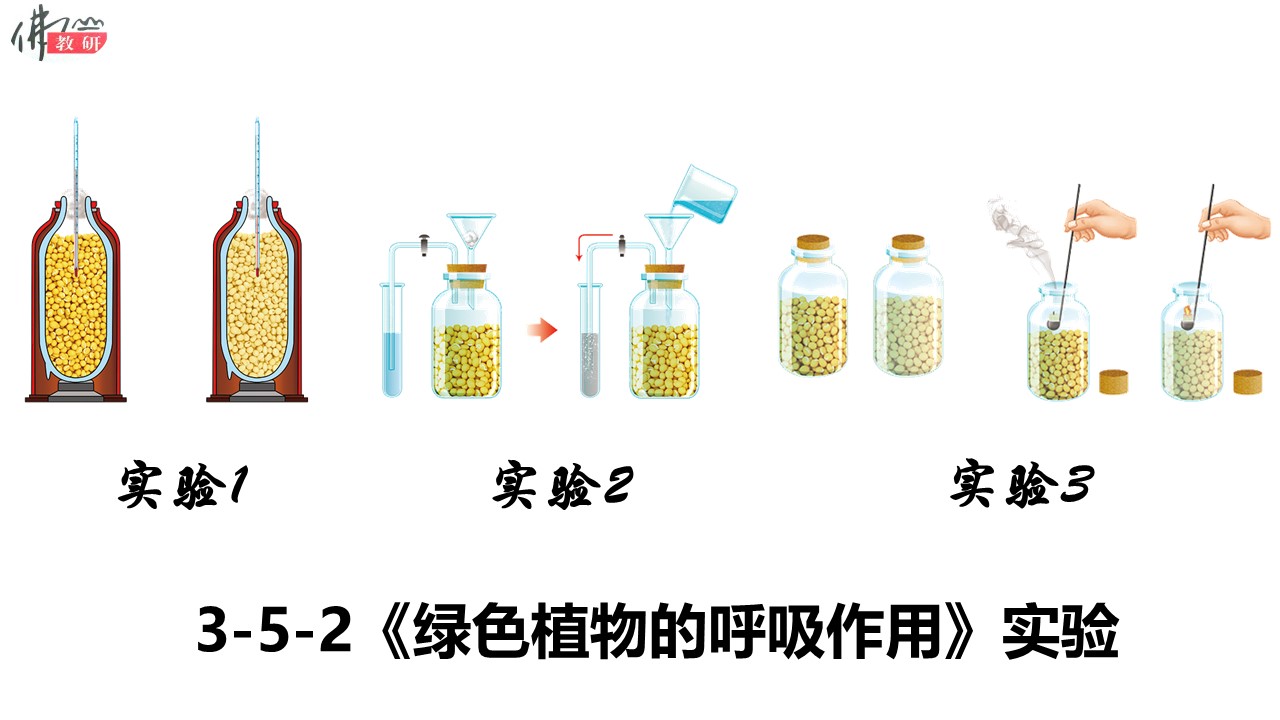 4fc254bb96ab4ecb93fcdb51e6c0389a.JPG