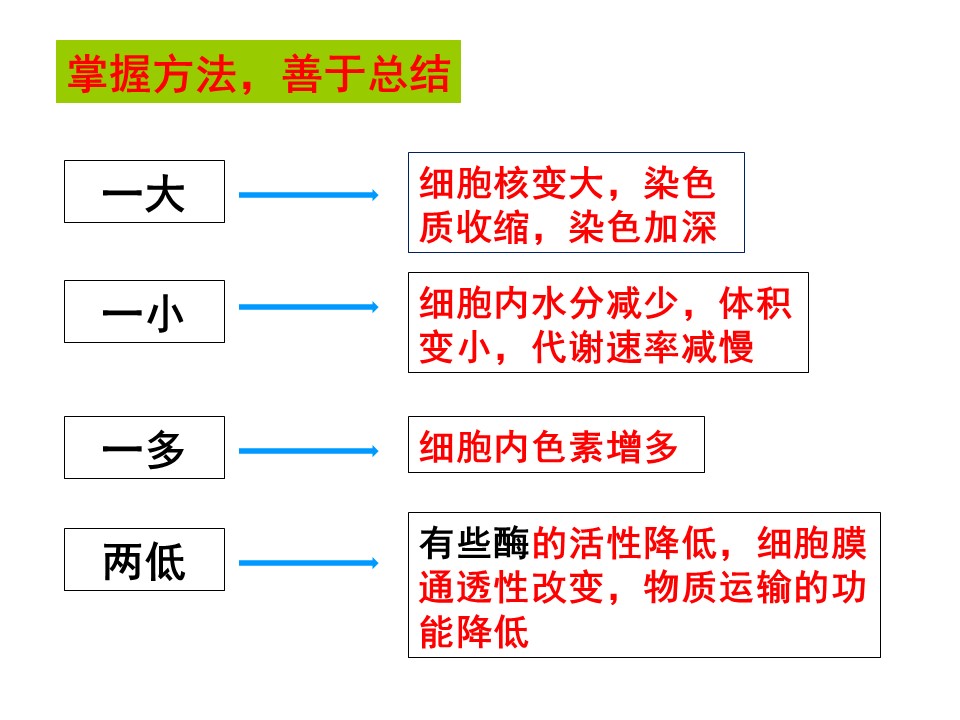 57c3f5fe28ad4e158bff8e052bd763d2.JPG