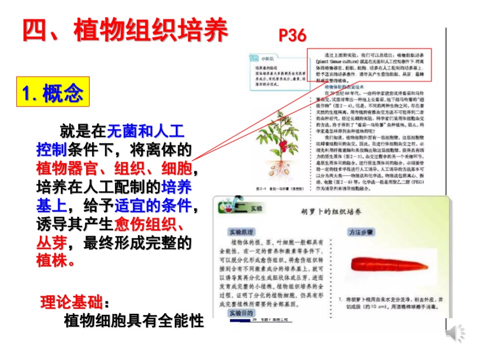 5ac7ed5ead0a4512aecc4fbf688859a6.JPG