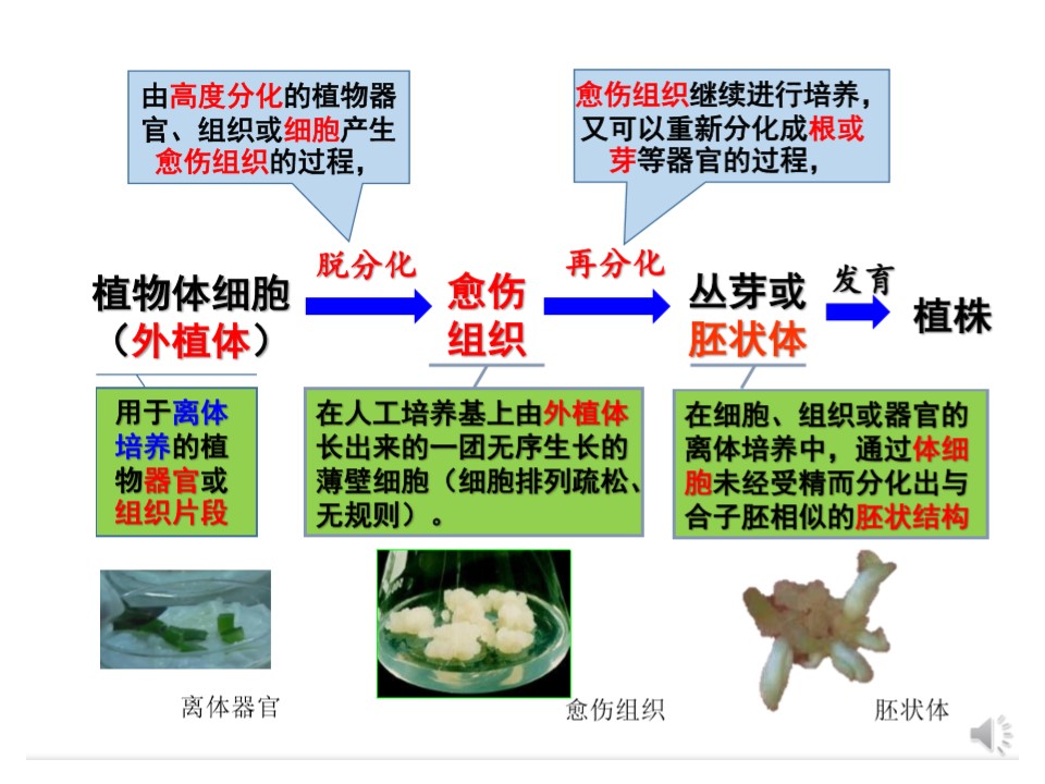 5d12c939fe8540dbac54ebd1262fe6b8.JPG